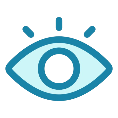 Our Vision
